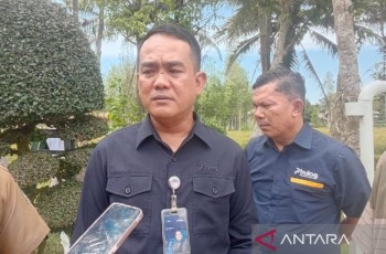 Bulog Sumut Serap 532 Ton Jagung, Target 80 Ribu Ton hingga Akhir 2025
