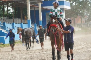 SARGA.CO Gelar Indonesias Horse Racing (IHR) Cup II 2025 dan Sarga Festival di Payakumbuh