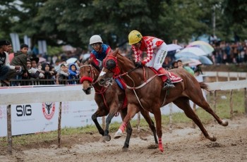 Indonesias Horse Racing (IHR) Cup II 2025 Payakumbuh: Antusiasme Masyarakat Ciptakan Rekor