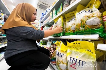 Distribusi Beras SPHP Dimaksimalkan, Bulog Pastikan Harga Tetap Stabil