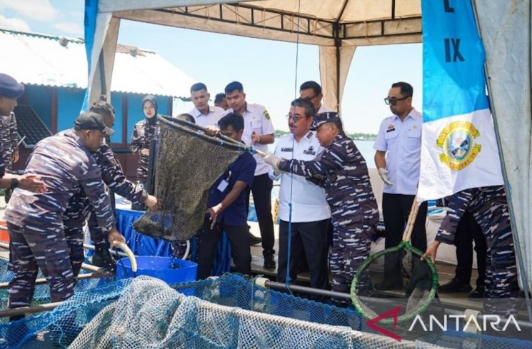 Gubernur Maluku Hendrik Lewerissa mengikuti panen ikan oleh TNI AL di Maluku (ANTARA/Dedy Azis)