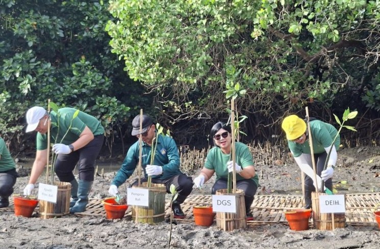 Dokumentasi - Deputi Gubernur Senior BI Destry Damayanti (kedua kiri) melakukan kegiatan penanaman 1.000 pohon bakau (mangrove) di Kawasan Konservasi Maritim Teluk Benoa, Bali, Minggu (23/11/2025). ANTARA/Indra Arief Pribadi
