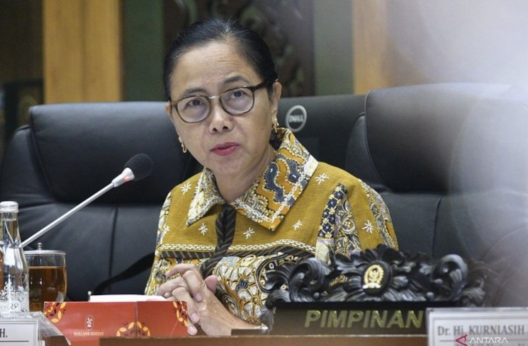 Wakil Ketua Komisi X DPR RI MY Esti Wijayanti. ANTARA/HO-Humas DPR RI.

