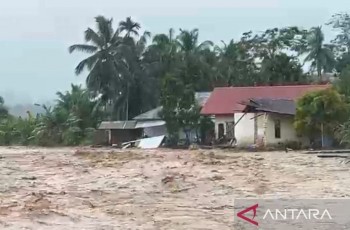 Banjir dan Cuaca Ekstrem di Padang Pariaman Picu Kerugian Rp268,5 Miliar, Ribuan Warga Mengungsi