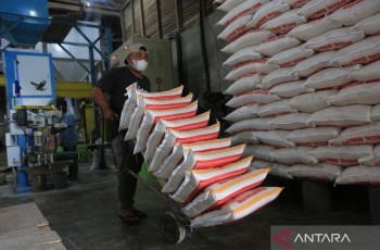 Aceh Terima Tambahan 1.700 Ton Beras untuk Warga Terdampak Bencana
