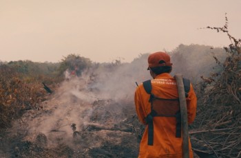 Film Dokumenter Gestures of Care Tayang di JAFF 2025, Tingkatkan Kesadaran tentang Kebakaran Hutan di Kalimantan