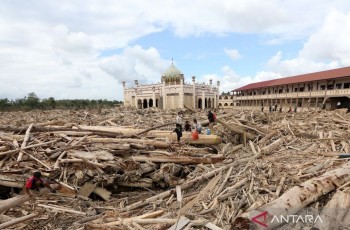 Kemenhut Izinkan Warga Manfaatkan Kayu Hanyut Pascabanjir di Aceh hingga Sumbar