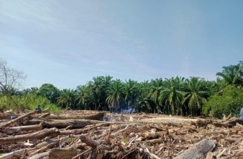 Kemenhut Gandeng Ahli Hidrometeorologi dan Kayu Usut Kerusakan DAS di Sumut