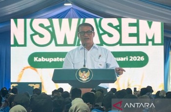 Tak Lagi Impor, Indonesia Bikin Harga Beras Dunia Anjlok 44 Persen!
