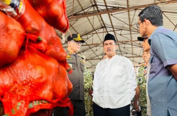Mentan Amran Sita 133,5 Ton Bawang Bombay Ilegal di Semarang: Tak Ada Toleransi!