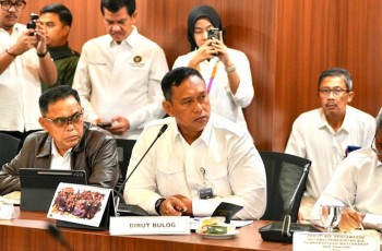 Pecah Telur Sejak 2014! Margin Bulog Naik Jadi 7 Persen demi Beras Satu Harga