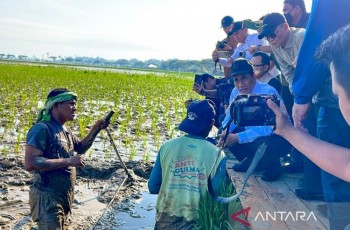 Mentan Amran Pastikan Pemulihan Sawah di Aceh Gunakan Skema Padat Karya