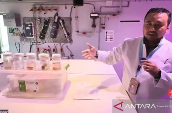 Modernisasi Armada, BRIN Adopsi Teknologi Kapal OceanX untuk Riset Maritim Indonesia