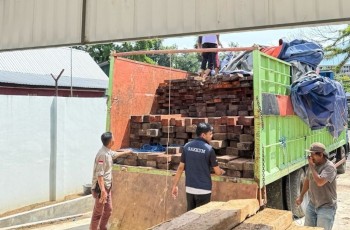 Gakkum Kemenhut Gagalkan Penyelundupan 544 Batang Kayu Ilegal di Makassar