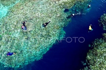 Meski AS Pangkas Bantuan Luar Negeri, Dana Terumbu Karang Rp588 Miliar Tetap Mengalir ke Indonesia