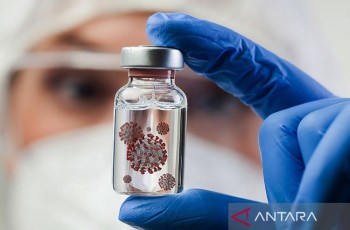 Waspada Virus Nipah di India, Kemlu Pantau Kondisi WNI: Situasi Masih Terkendali