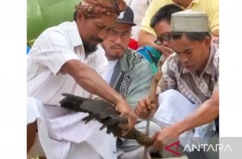 Tempuh Jalan Damai, Pandji Pragiwaksono Tuntaskan Sanksi Adat di Tana Toraja