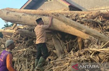 Kemenhut Izinkan Pemanfaatan Kayu Hanyutan untuk Rekonstruksi Pascabencana Sumatra