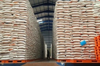 Konflik Timur Tengah Memanas, Bulog Pastikan Stok Beras Nasional Tetap Aman