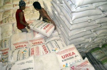 Wamentan: Perang Iran-AS Picu Lonjakan Permintaan Ekspor Urea Indonesia