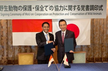 RI-Jepang Perkuat Diplomasi Hijau Melalui Kerja Sama Konservasi Komodo
