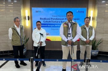 Bulog Jamin Harga Beras Tetap Stabil meski Biji Plastik Langka