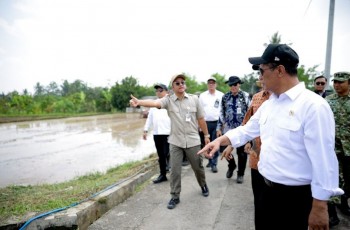 Panen Bisa 3 Kali Setahun, Mentan Amran Siapkan Rp5 Triliun untuk Pompa Air Petani