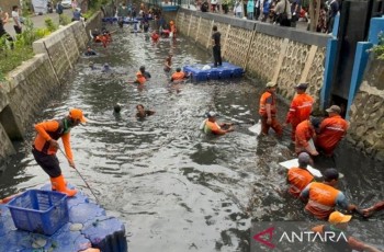 Pramono Anung Bakal Bentuk PJLP Khusus Penangan Ikan Sapu-sapu di Jakarta