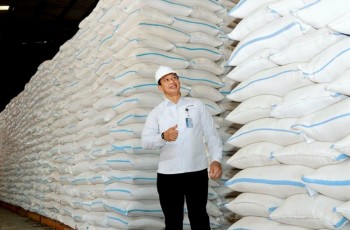 Stok Beras Bulog 2026: Cadangan Nasional 4,8 Juta Ton Aman, Masyarakat Boleh Cek Gudang