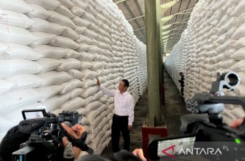 Stok Cadangan Beras Pemerintah 2026 Melimpah, Mentan Pastikan Tidak Ada Impor