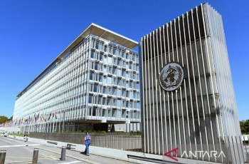 WHO: Risiko Penularan Hantavirus Rendah, Tak Ada Pembatasan Perjalanan