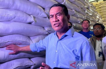 Bapanas Antisipasi Deflasi Pangan 2026: Stok Cabai dan Jagung SPHP Mulai Disalurkan