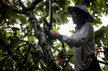 Festival Raksha Loka, Ketika Akar Rumput Menjadi Solusi Krisis Iklim Global