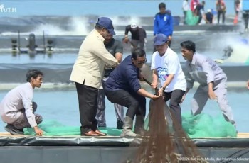 Tunggangi Maung Garuda, Presiden Prabowo Ikut Jaring Udang di Panen Raya Kebumen