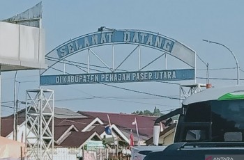 Presiden Prabowo Beli Sapi Limousin 950 Kg dari Peternak PPU untuk Kurban Iduladha