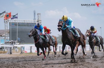 Indonesias Horse Racing: Piala Paku Alam 2026 Digelar di Yogyakarta, Hadirkan Pesta Karnaval dan Inul Daratista
