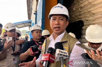 Bulog Tegaskan Penyerapan Gabah Petani Tetap Berlanjut Sepanjang Tahun