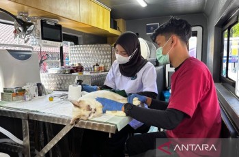 Pramono Anung Ajak Warga Jakarta Manfaatkan Mobil Klinik Hewan Keliling