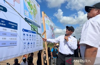 Kementan Alokasikan Rp3,2 Triliun untuk Dongkrak Sektor Pertanian dan Kesejahteraan Petani Papua