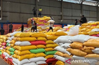 Pengamat IPB: Ekspor Beras ke Singapura Jadi Momentum Ubah Narasi RI sebagai Importir