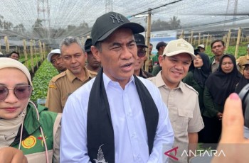 Mentan Amran Bagikan 17 Juta Bibit Kopi Gayo di Aceh, Dukung Ekspor