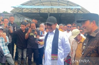 Mentan Amran Ancam Tutup Perusahaan Sawit yang Permainkan Harga TBS Petani