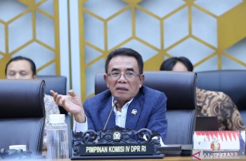 Aturan Baru Tembakau PP 28 Tahun 2024, DPR Ingatkan Nasib Petani Lokal