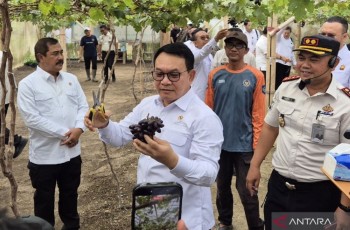 Dudung: Transformasi Nusakambangan Dukung Ketahanan Pangan Nasional