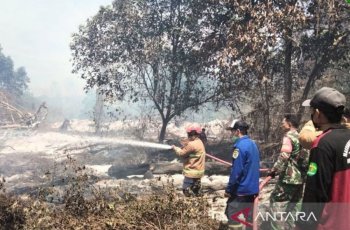 Tim Gabungan Berhasil Padamkan 13,8 Hektare Kebakaran Hutan Konservasi di Kaltim