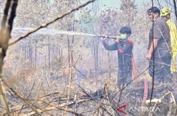 Kemenhut Wajibkan Pemegang PBPH Lakukan Langkah Ekstra Mencegah Karhutla