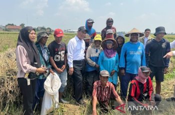 Mentan Amran Beri Bantuan Combine Harvester untuk Buruh Tani Karawang