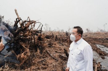 Wamen LH Diaz Hendropriyono Tinjau Karhutla Jambi, Dorong Sistem Sekat Kanal