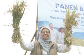 Kasus Korupsi Bansos Beras PKH: KPK Panggil Kepala Bulog Jateng dan Puluhan Saksi