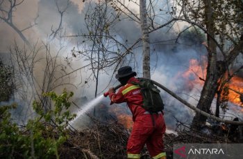 Menhut Raja Juli Antoni Sejel Lahan Karhutla di Ketapang, Minta Petugas Tak Lengah
